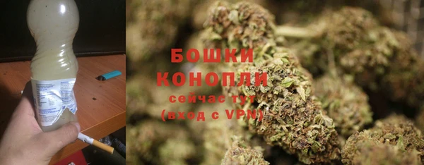 кокс Белокуриха