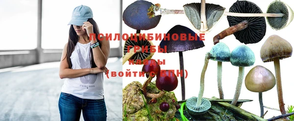 кокс Белокуриха