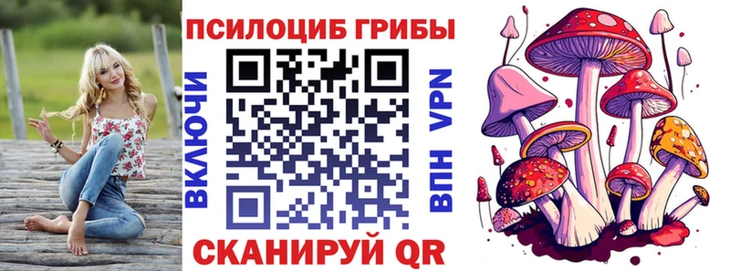 Псилоцибиновые грибы Magic Shrooms  купить закладку  Тимашёвск 